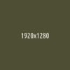 Wheel Loaders 911M - Image 3